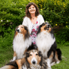 Sybille Kolwitz - Medium & Channeling - Lebensberatung & Coaching - Kartenlegen & Tarot - Liebe & Partnerschaft - Beruf & Finanzen Sybille Kolwitz - Medium & Channeling - Lebensberatung & Coaching - Kartenlegen & Tarot - Liebe & Partnerschaft - Beruf & Finanzen